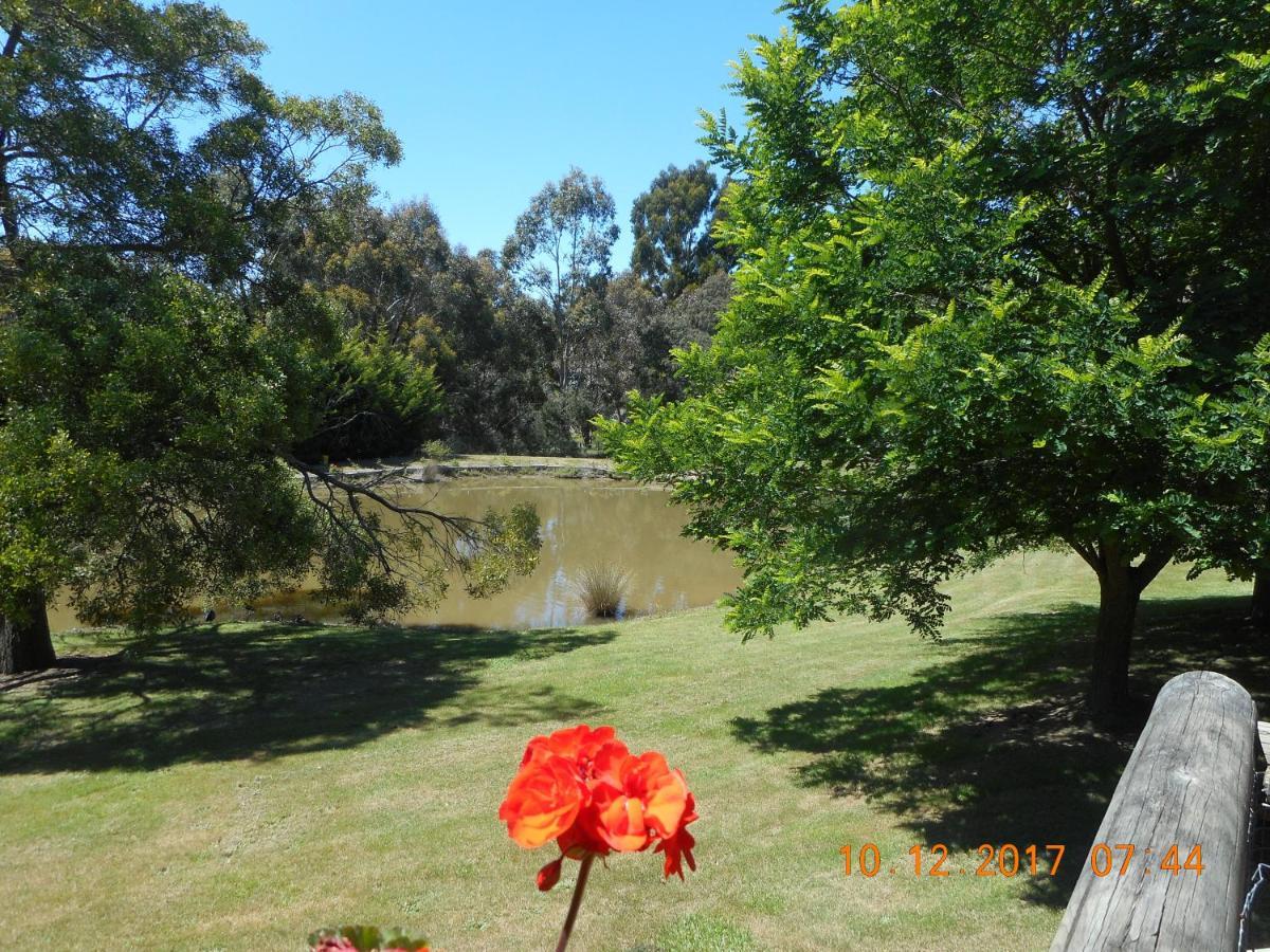 Wurrung B & B - The Cottage Woodend Bagian luar foto
