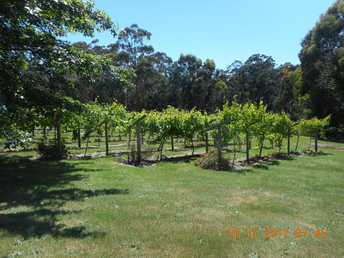 Wurrung B & B - The Cottage Woodend Bagian luar foto