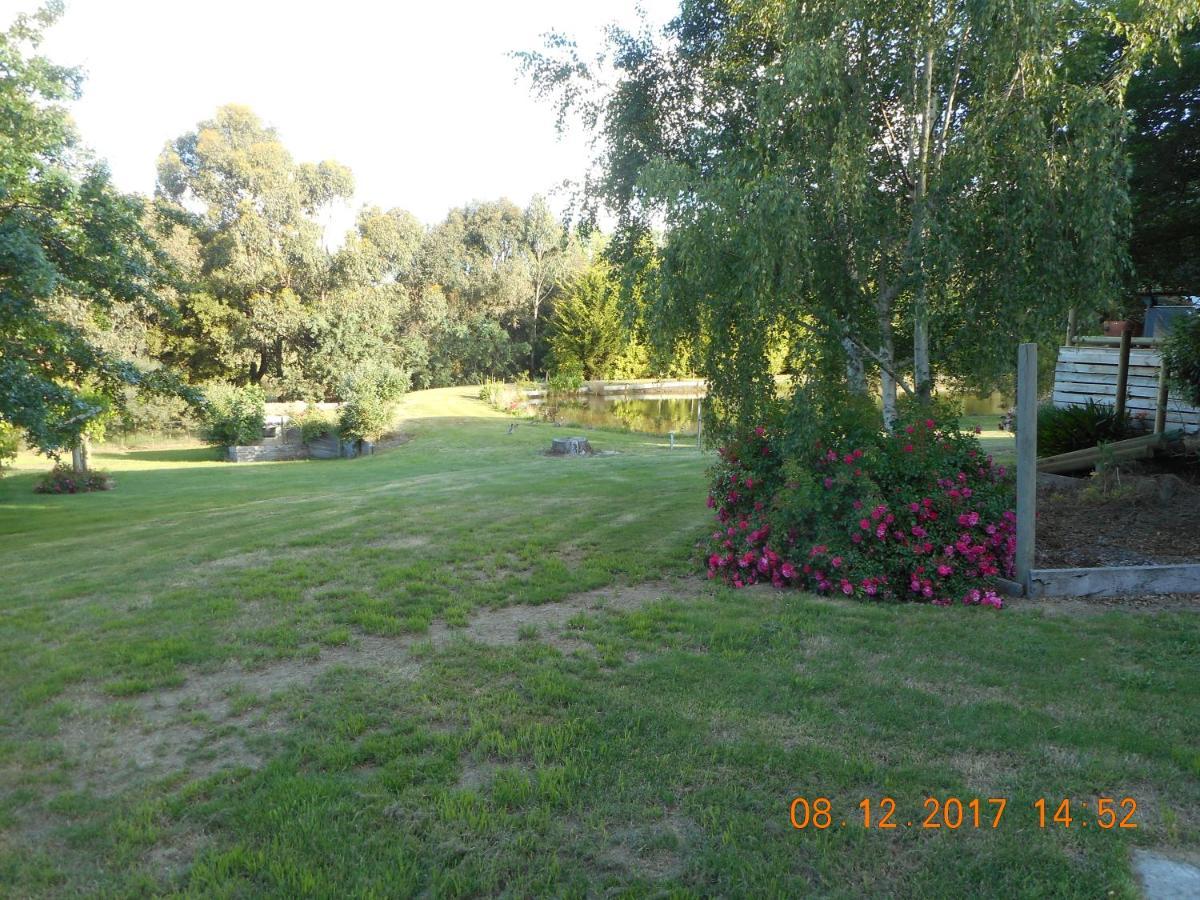 Wurrung B & B - The Cottage Woodend Bagian luar foto