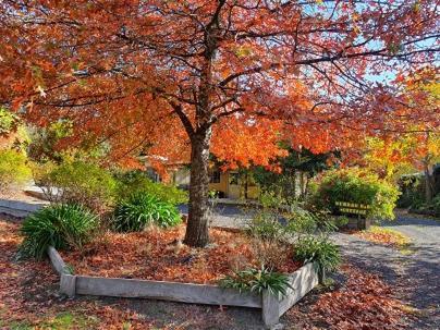 Wurrung B & B - The Cottage Woodend Bagian luar foto