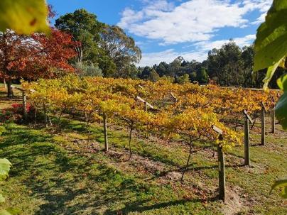 Wurrung B & B - The Cottage Woodend Bagian luar foto